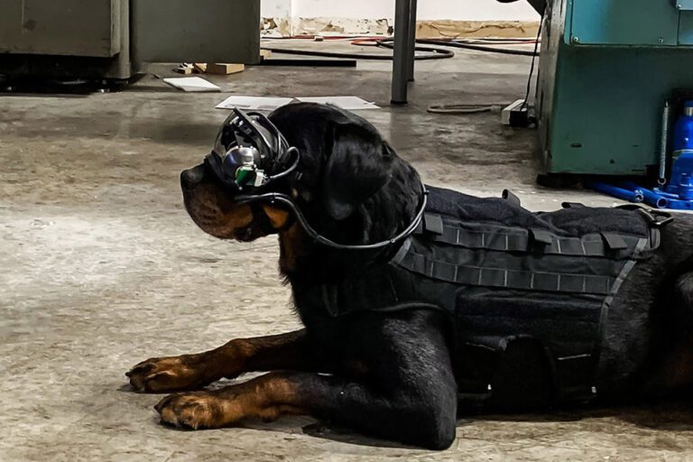 us-army-ar-dog-goggles-stuff-detective