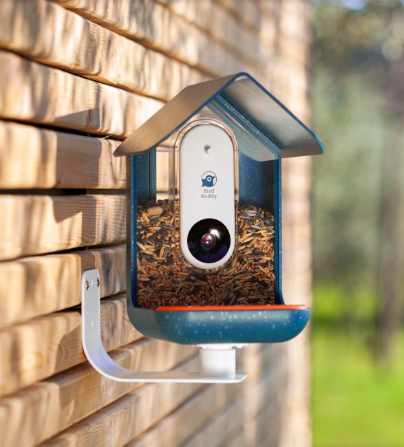 smart bird feeder